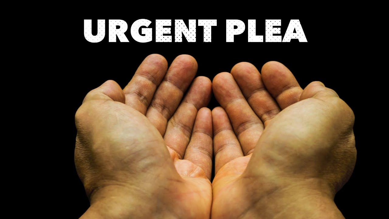 An Urgent Plea…